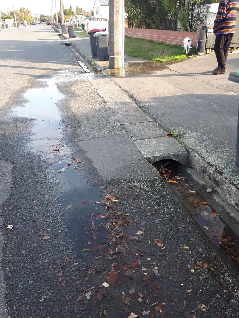 The photograph attached to this water supply report