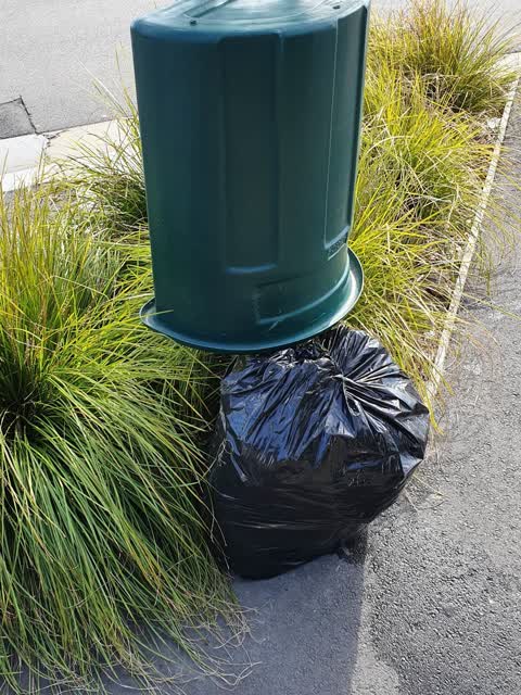 Rubbish/Recycling, a report photo