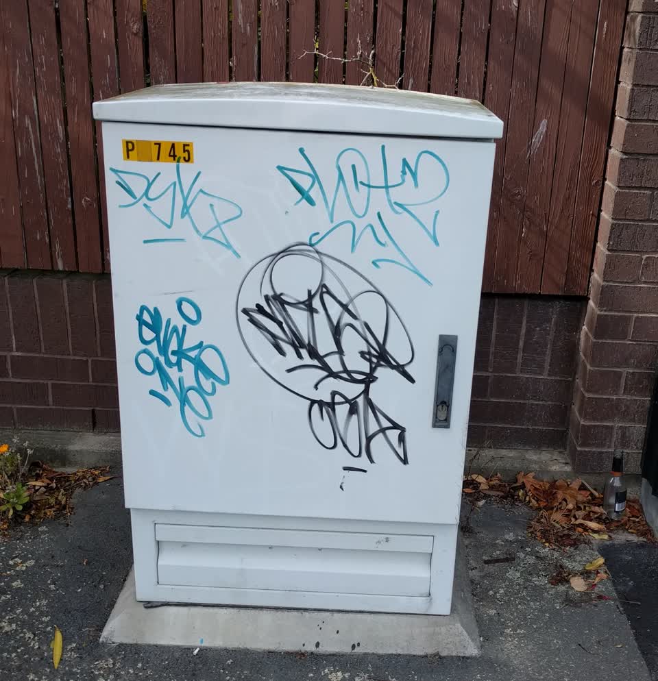 The photograph attached to this graffiti report