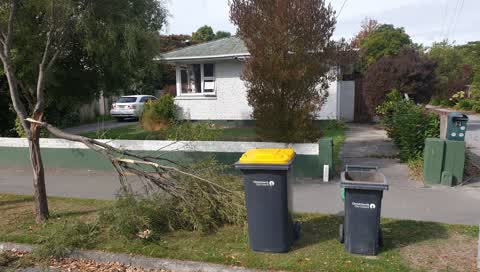 Rubbish/Recycling, a report photo