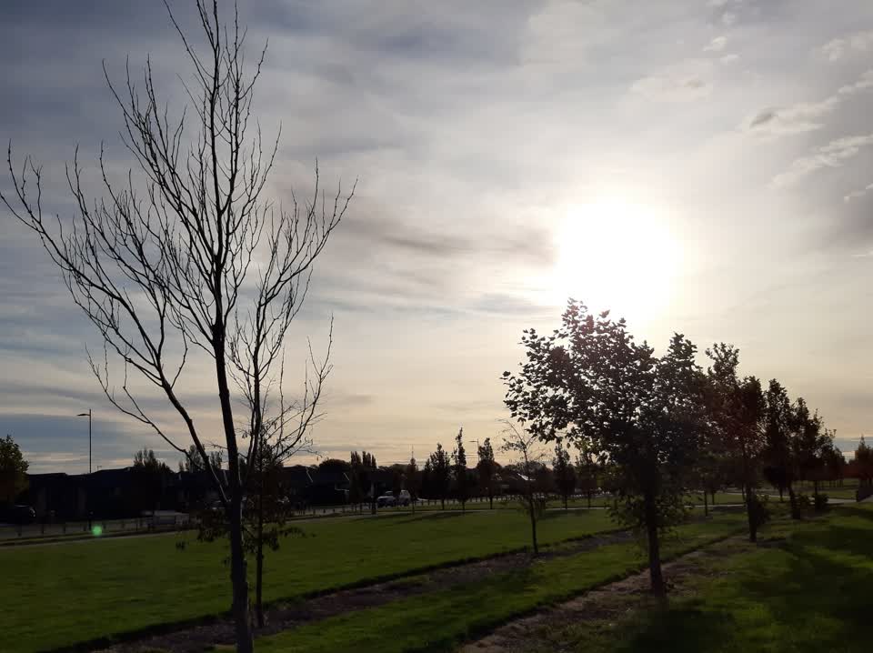 The photograph attached to this parks report