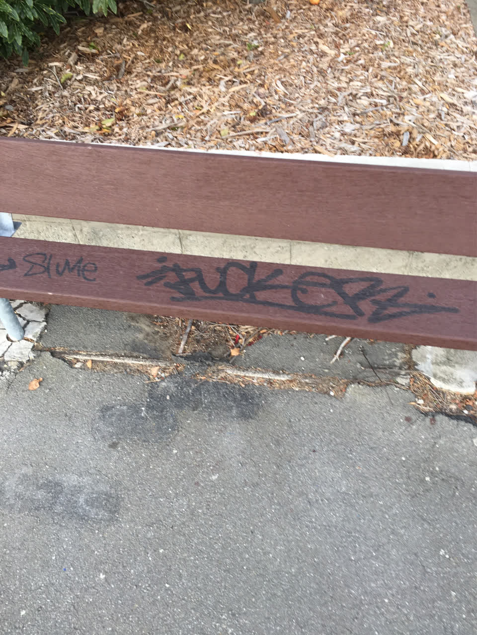 The photograph attached to this graffiti report