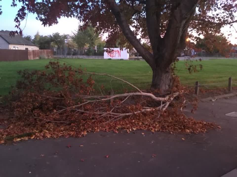 The photograph attached to this parks report