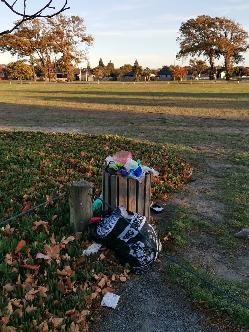 The photograph attached to this parks report