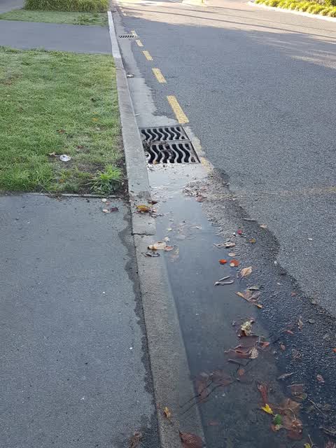 Wastewater/Stormwater, a report photo