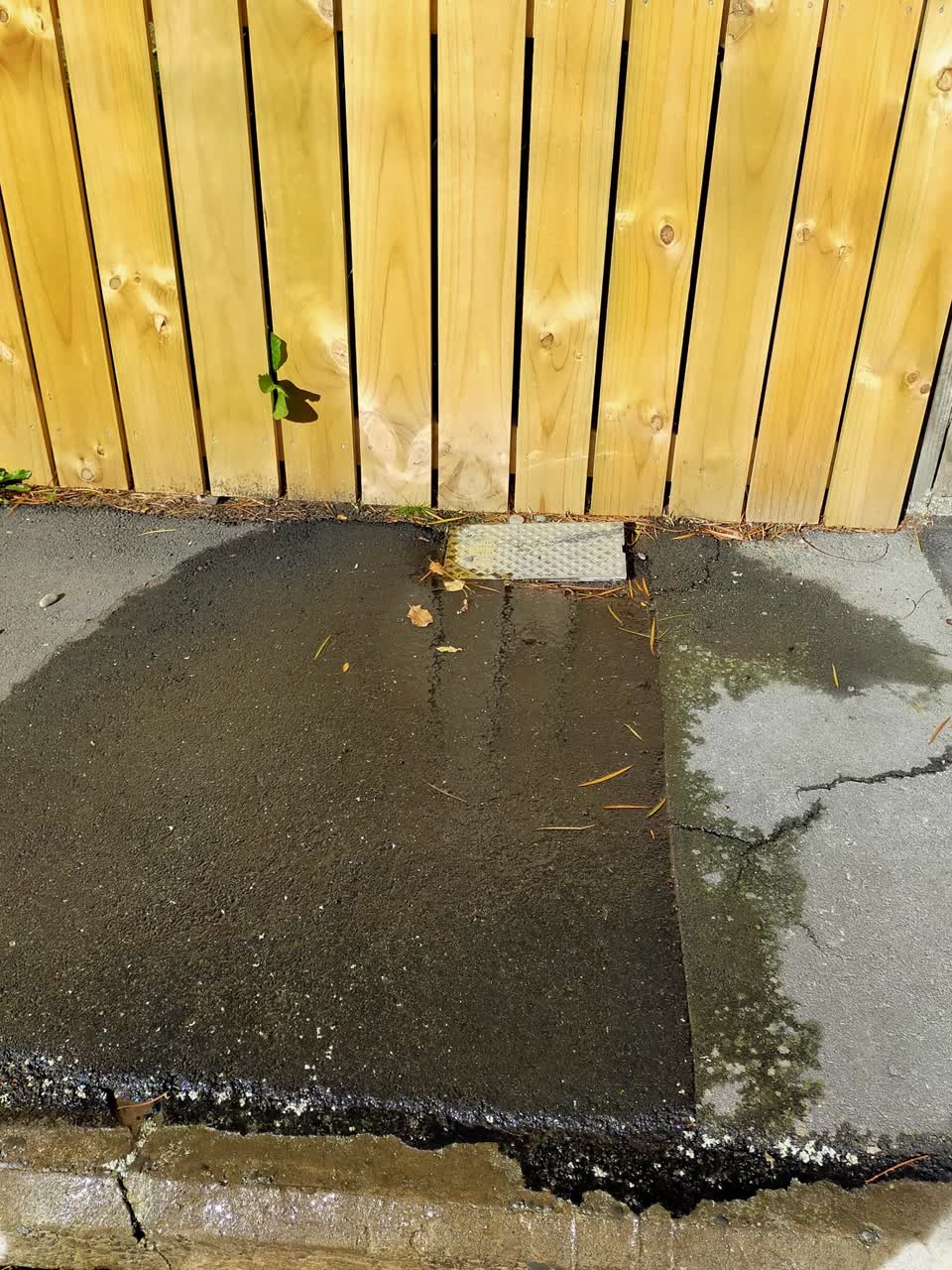 The photograph attached to this water supply report
