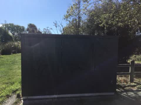 Graffiti — a report photo