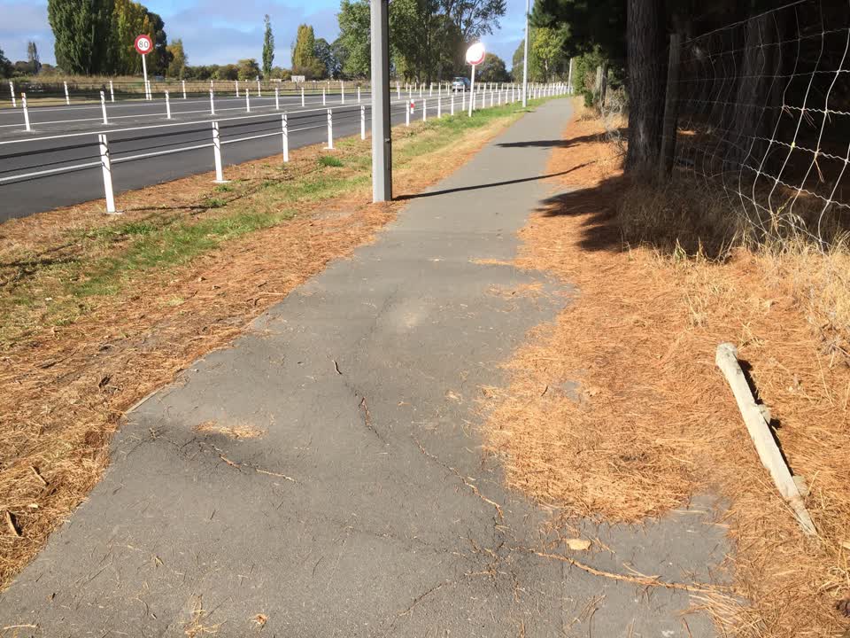 The photograph attached to this roading/streets report