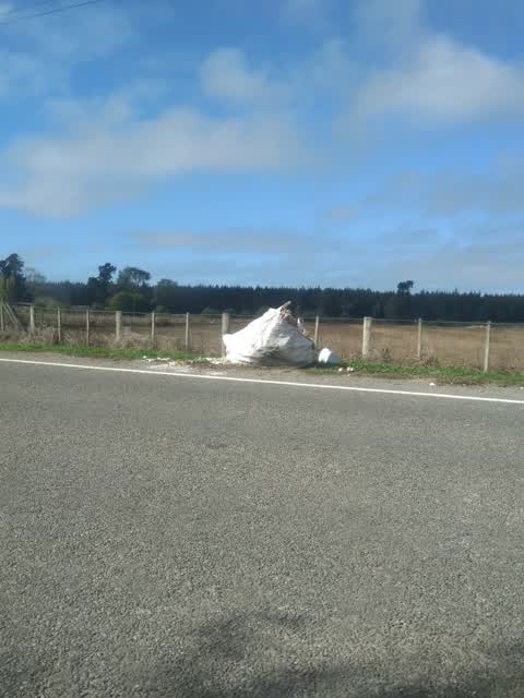 Rubbish/Recycling, a report photo