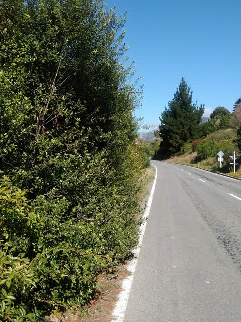 Roading/Streets, a report photo