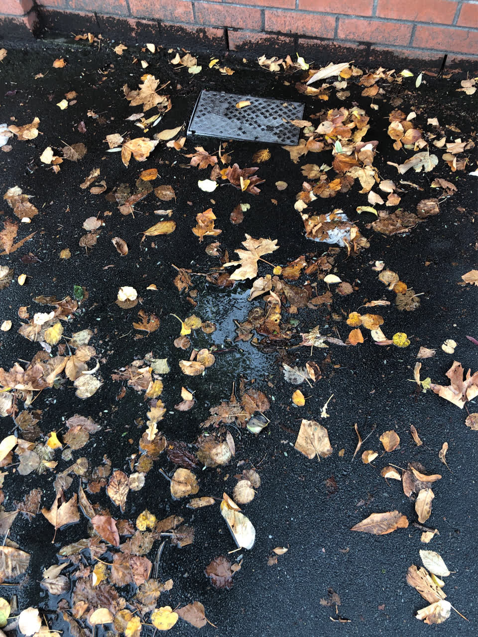 The photograph attached to this water supply report