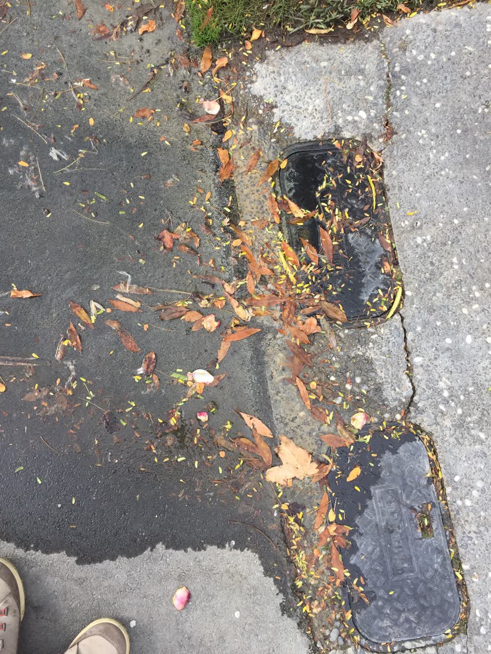 The photograph attached to this water supply report