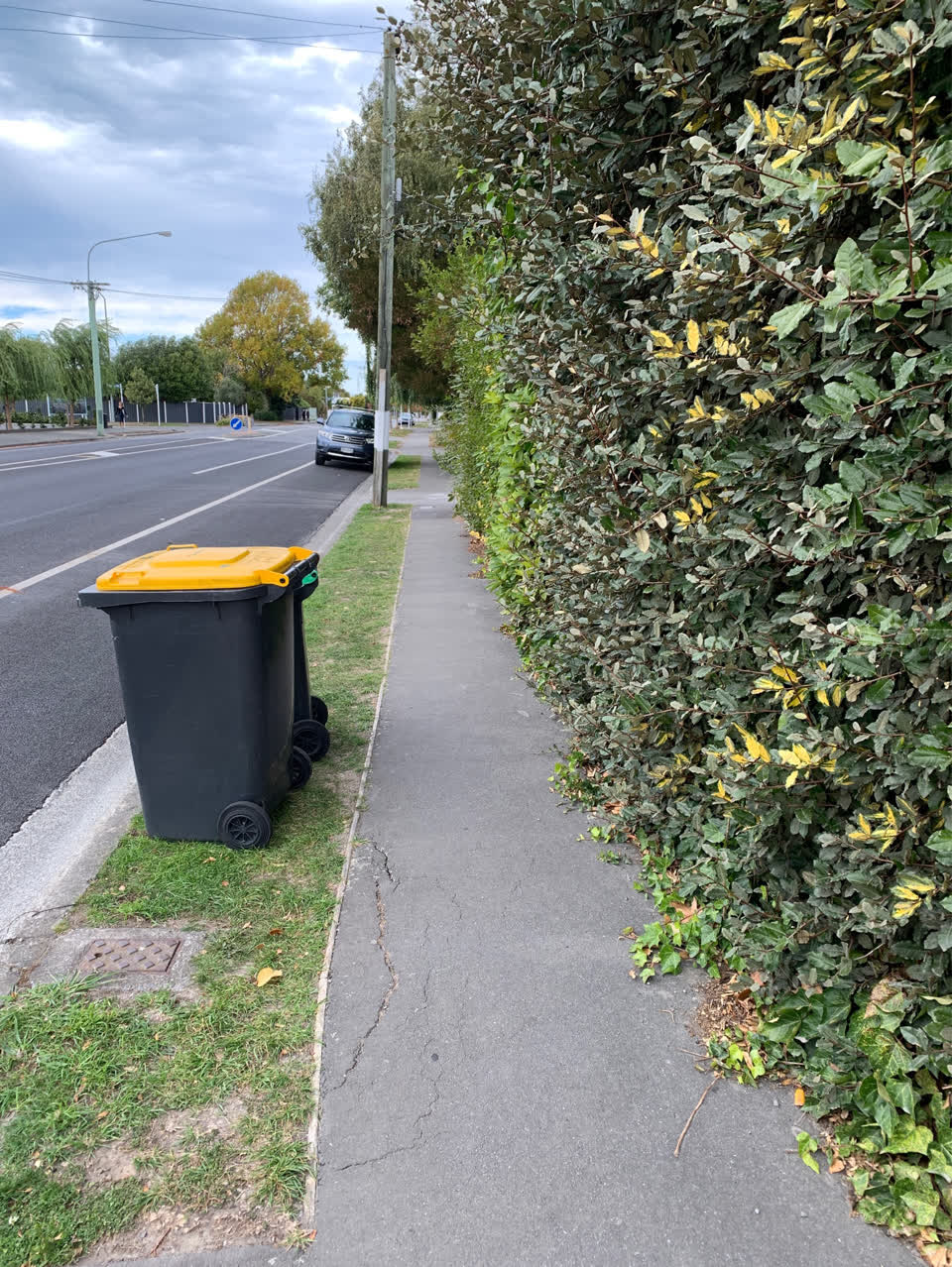 The photograph attached to this parks report