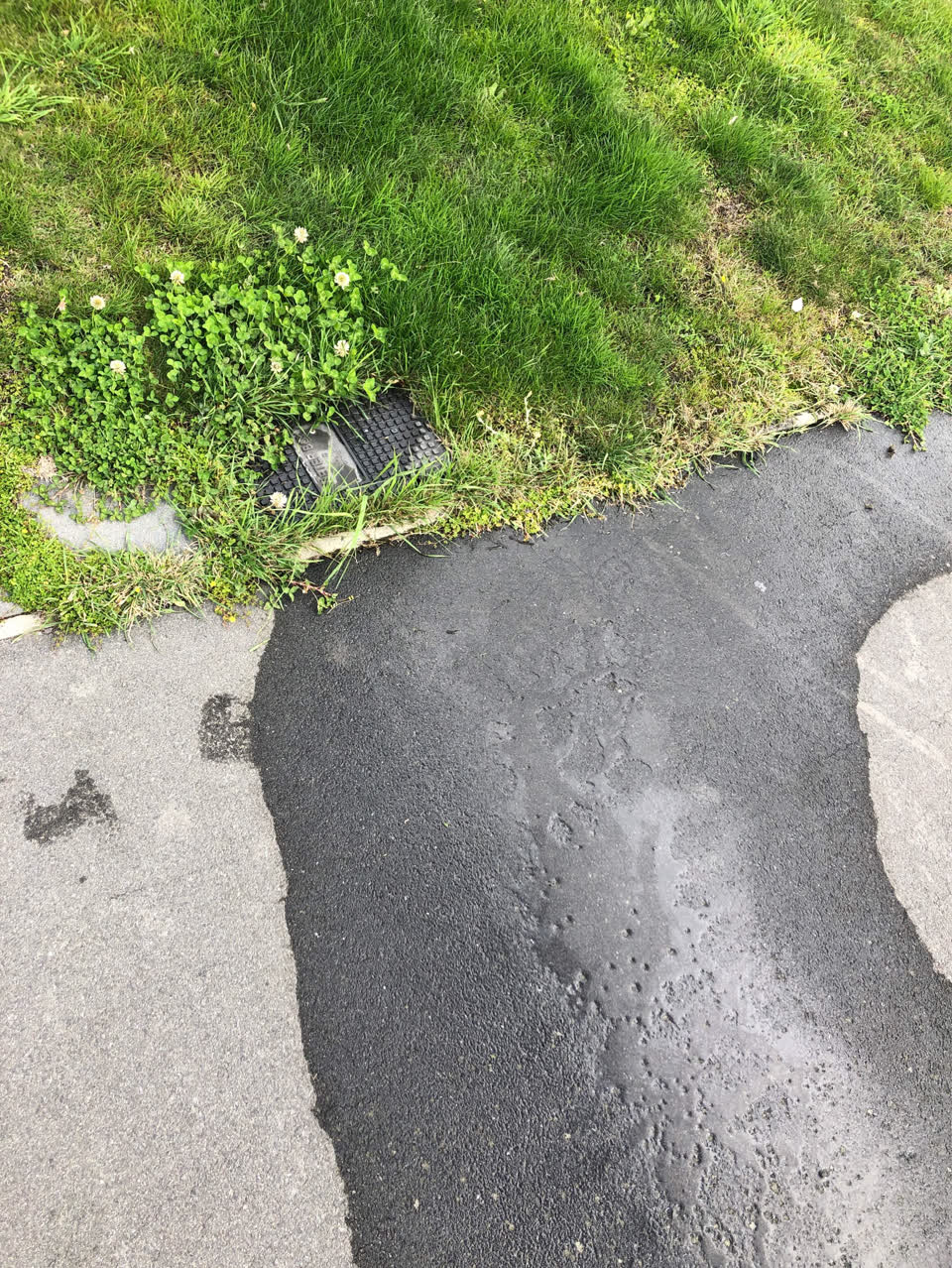 The photograph attached to this water supply report