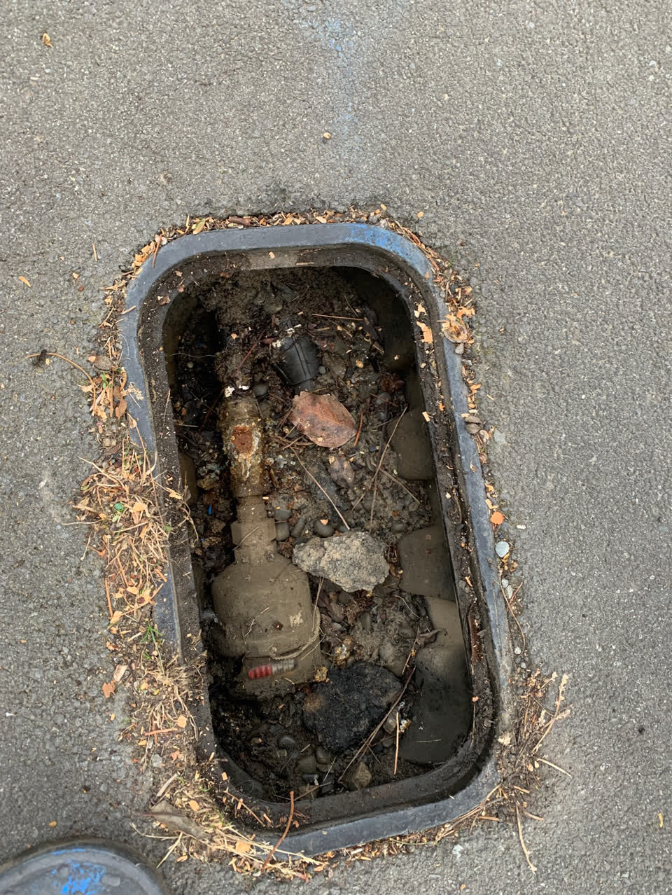 The photograph attached to this water supply report