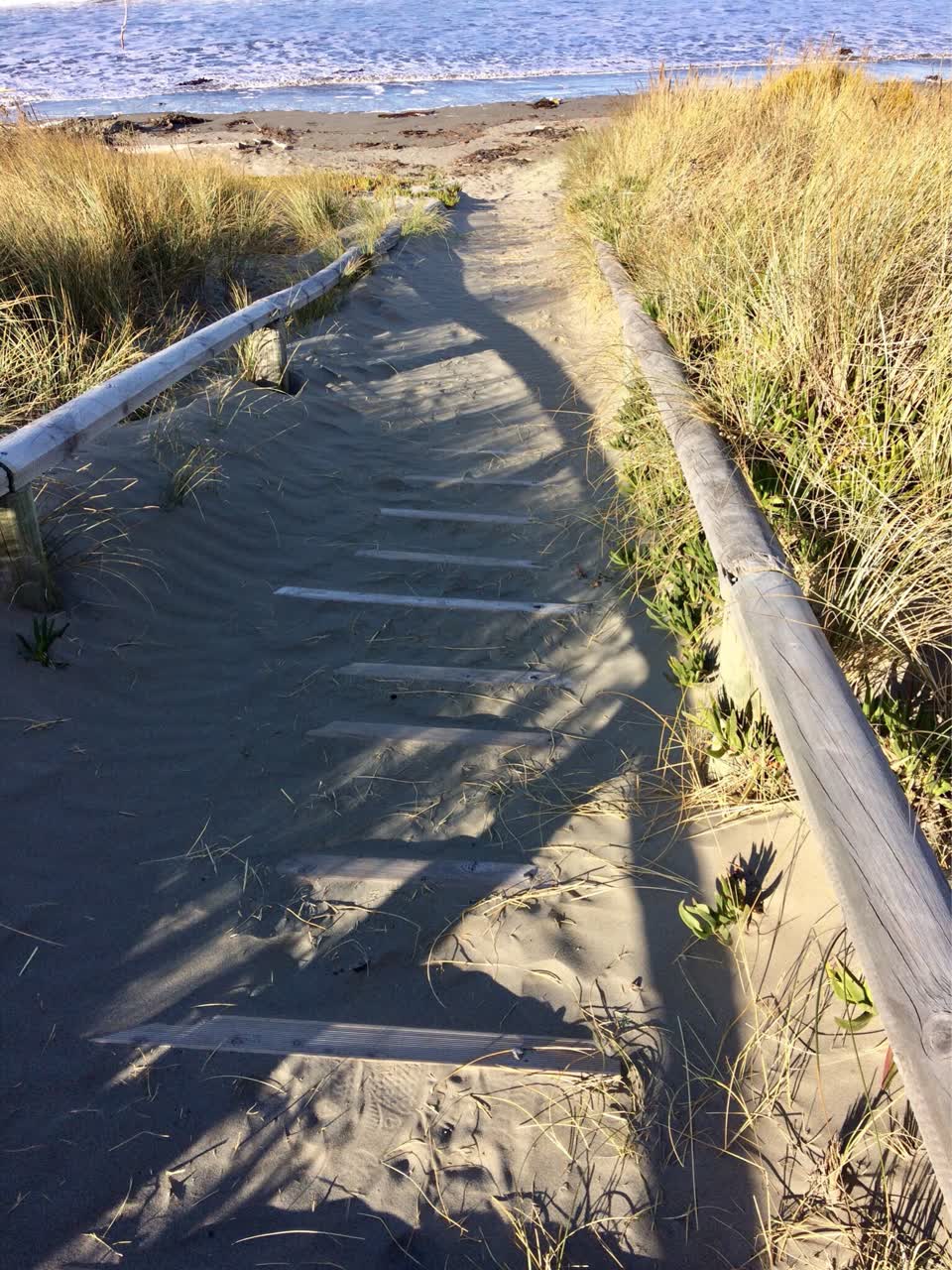 The photograph attached to this parks report