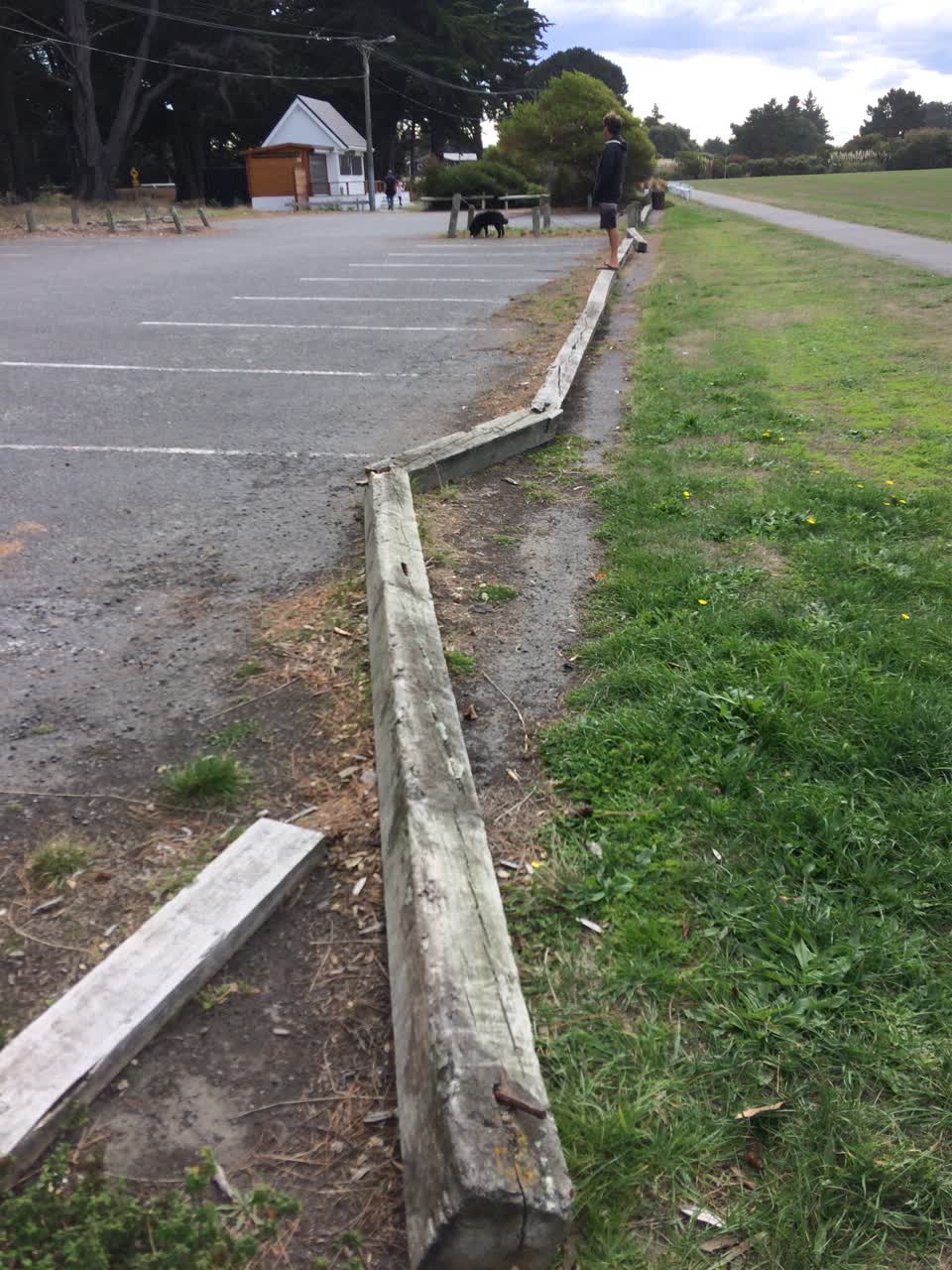 The photograph attached to this parks report