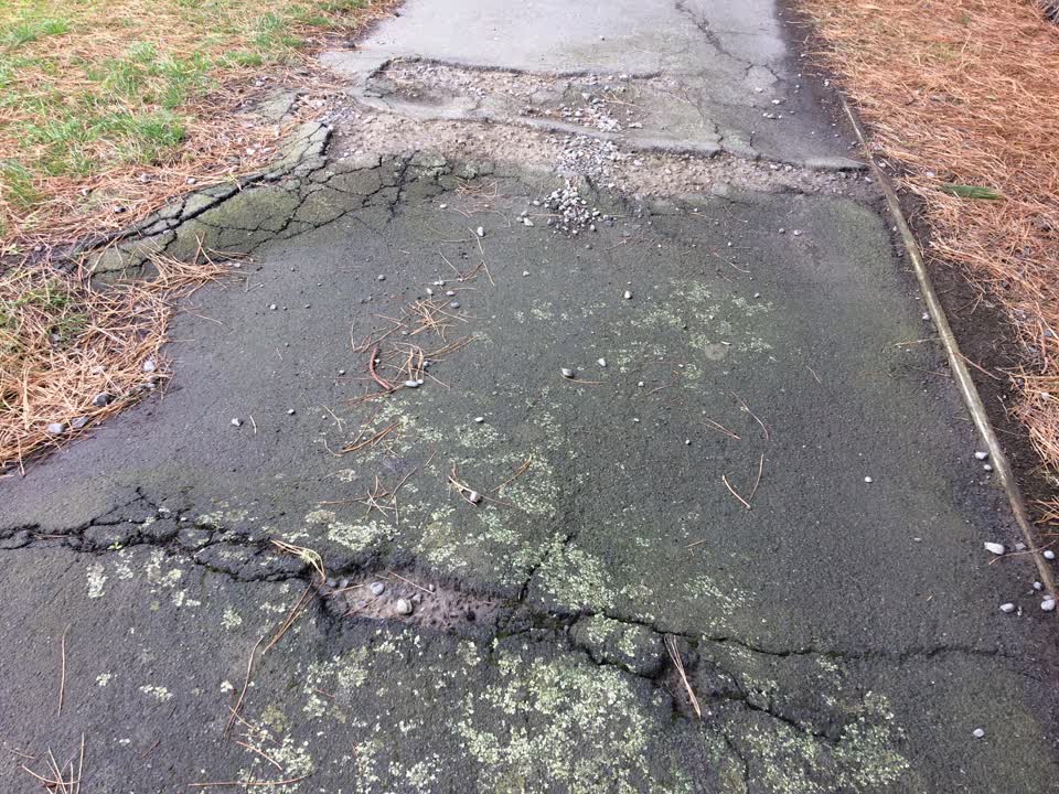 The photograph attached to this parks report