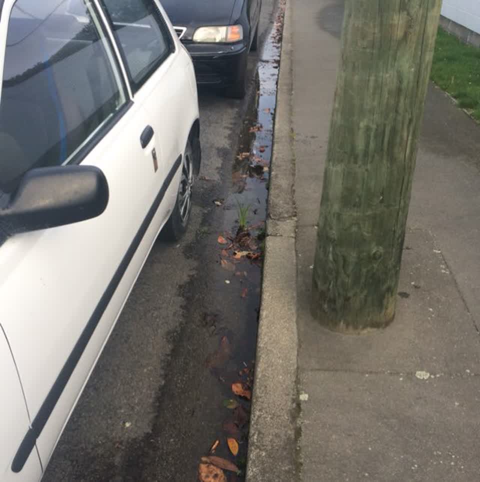 The photograph attached to this wastewater/stormwater report