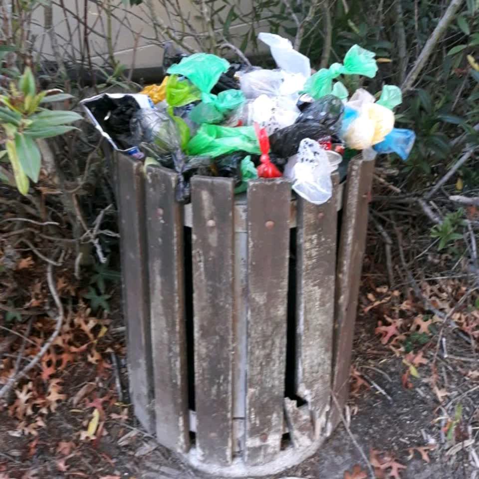 The photograph attached to this parks report