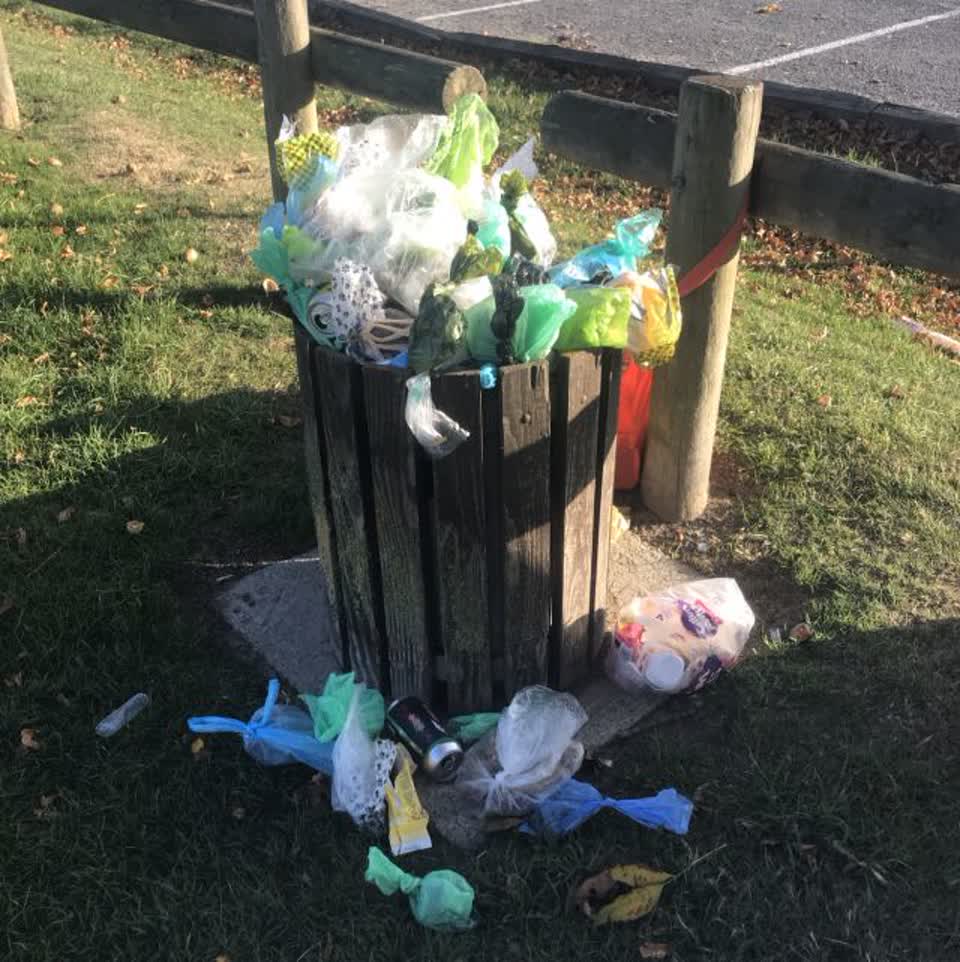 The photograph attached to this parks report
