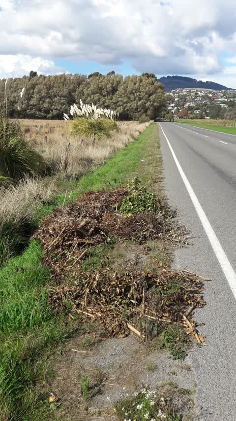 Roading/Streets, a report photo