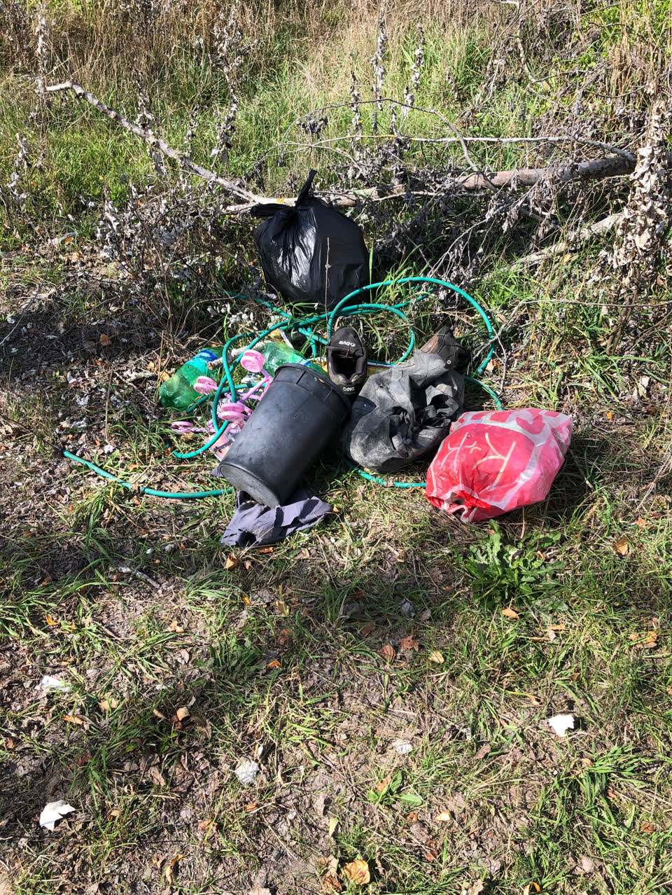 The photograph attached to this parks report