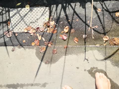 Wastewater/Stormwater, a report photo