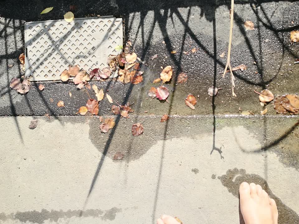 The photograph attached to this wastewater/stormwater report