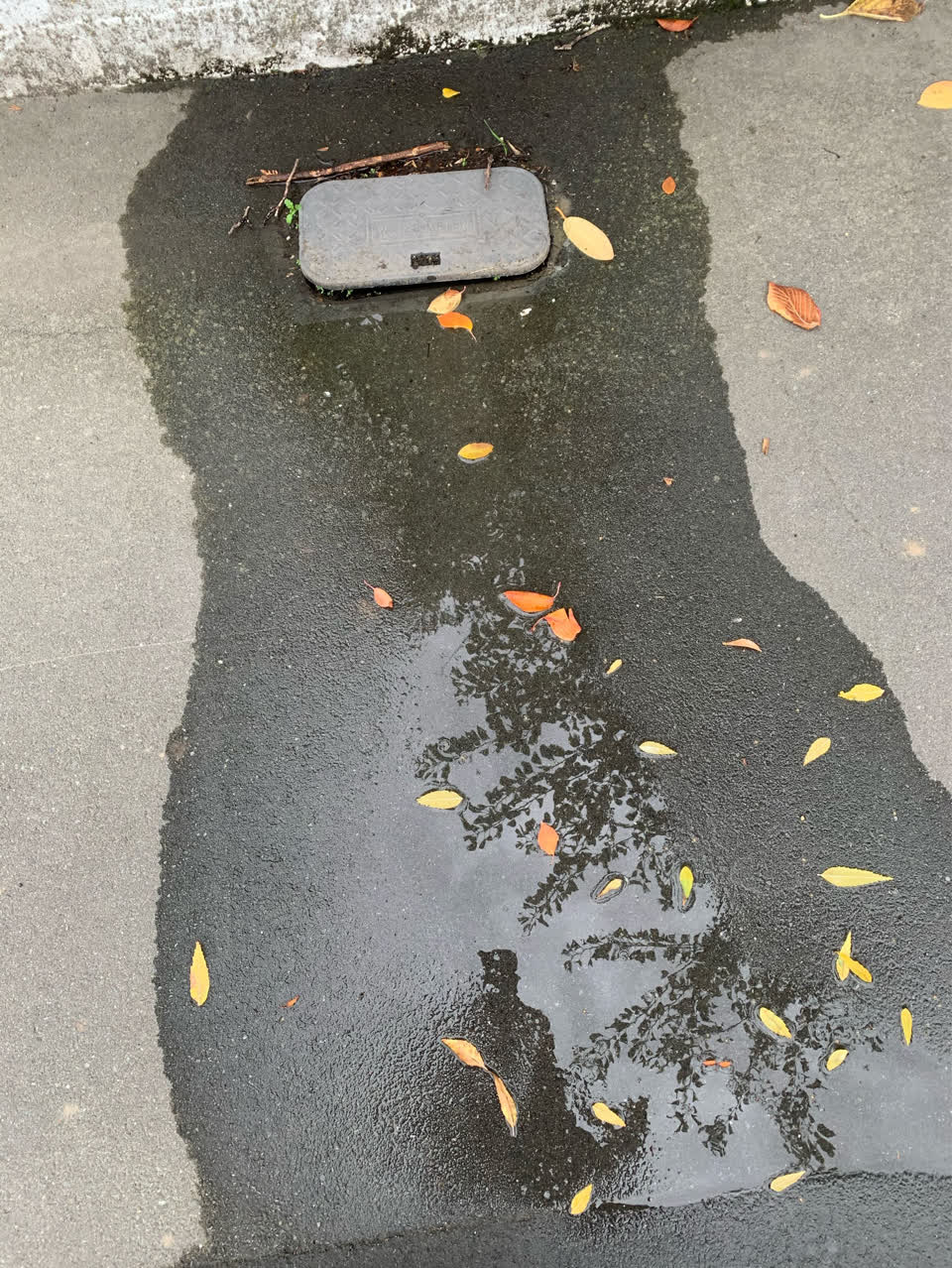 The photograph attached to this water supply report