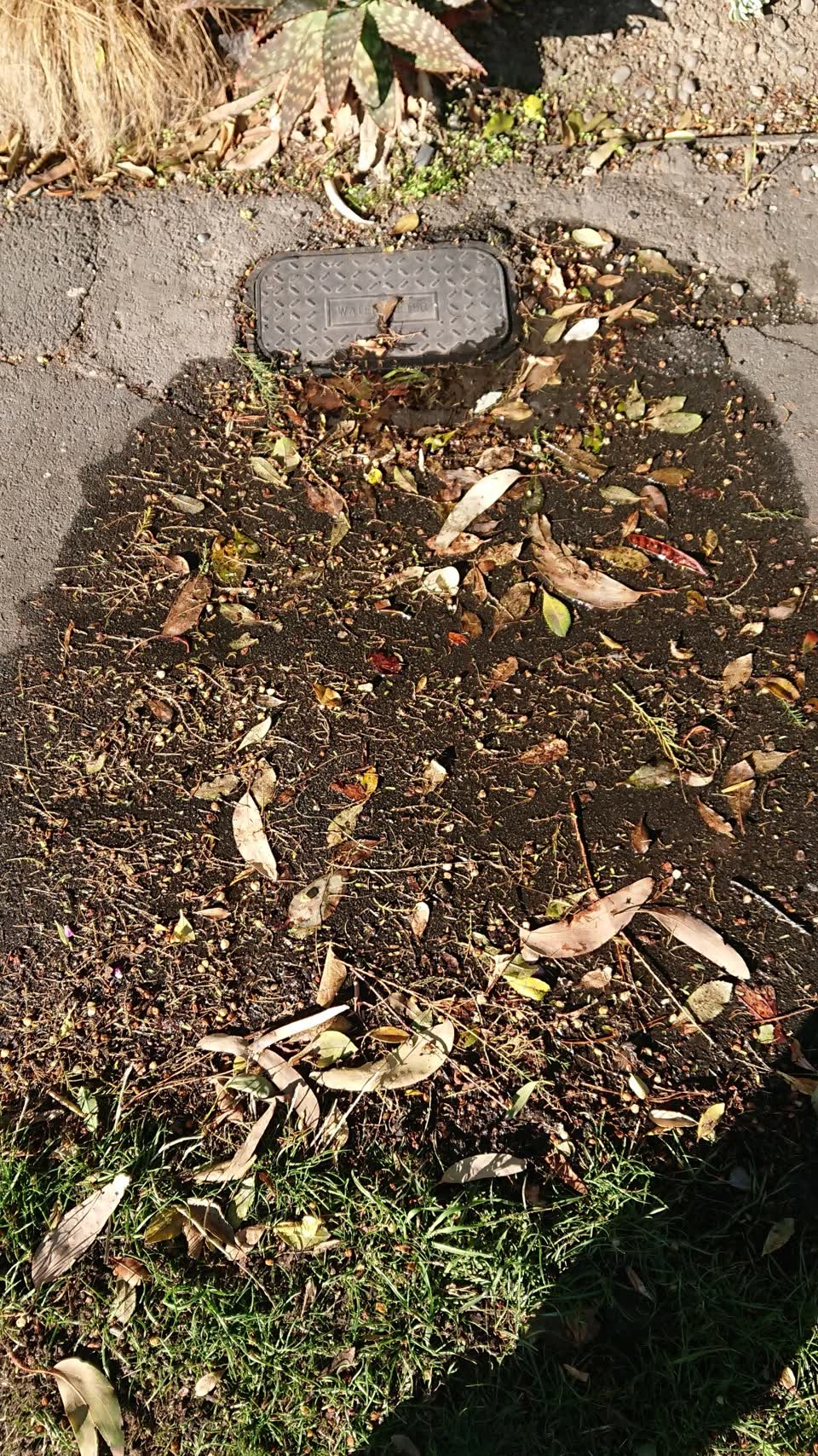 The photograph attached to this water supply report