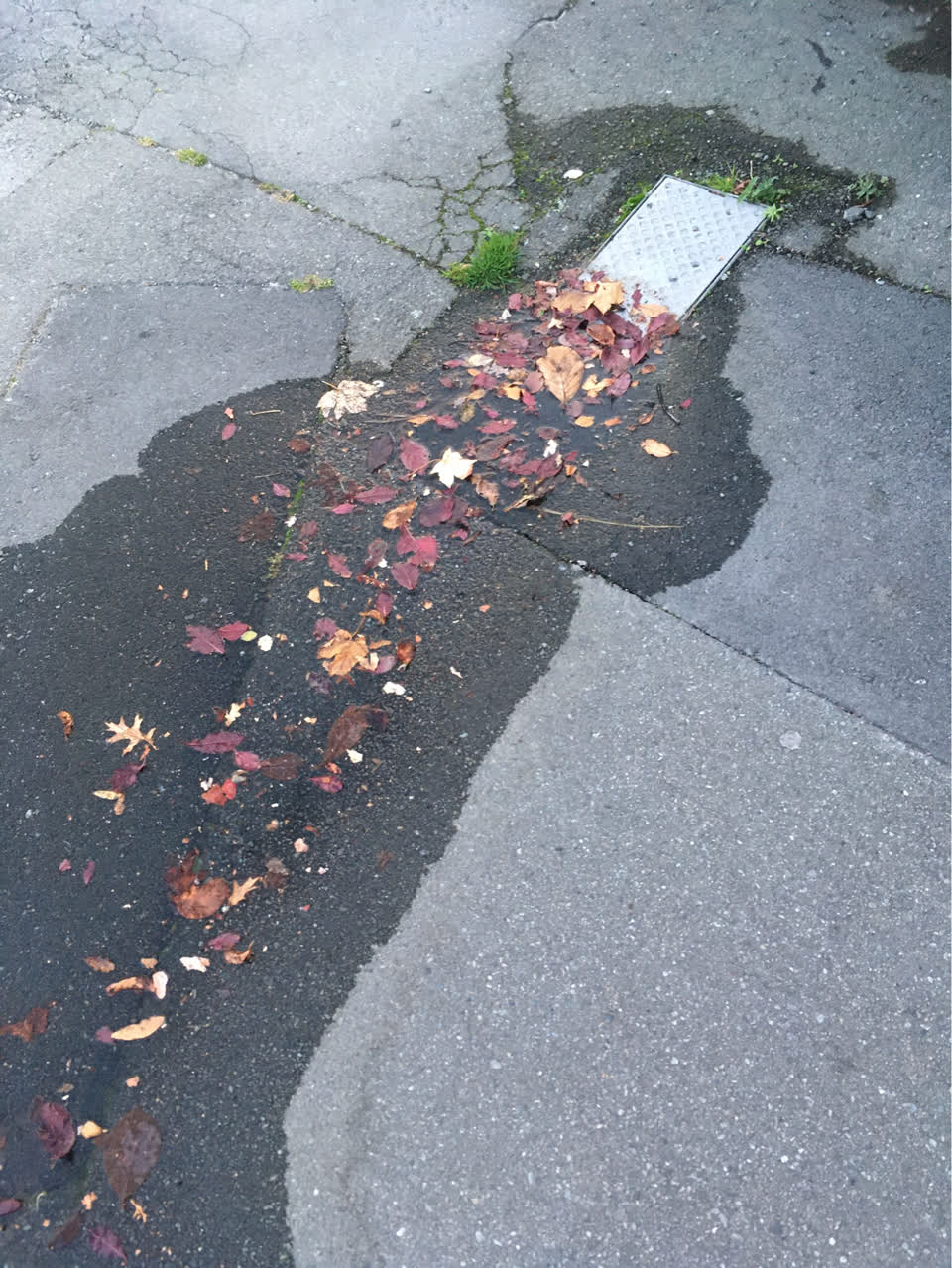 The photograph attached to this wastewater/stormwater report