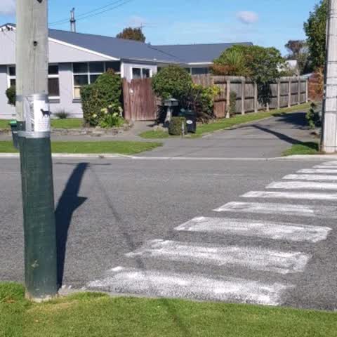 Roading/Streets, a report photo