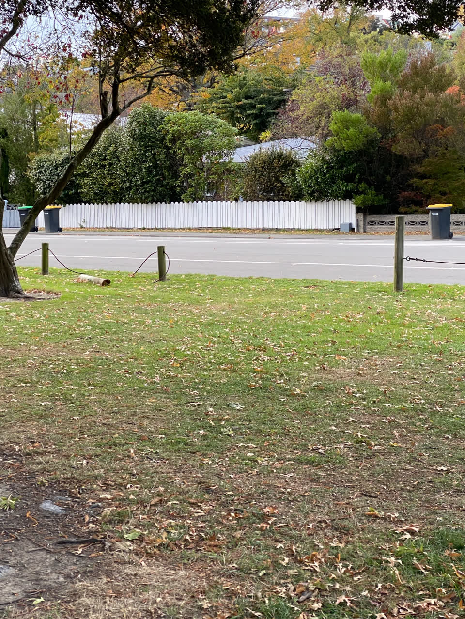 The photograph attached to this parks report