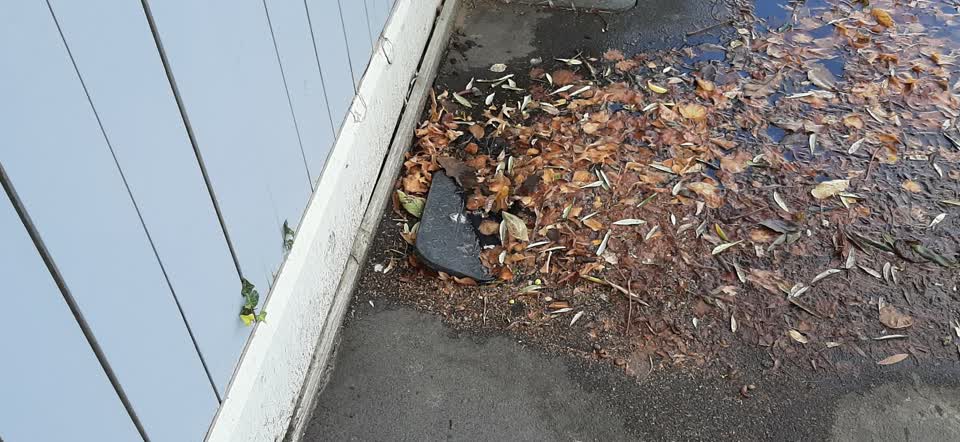 The photograph attached to this water supply report