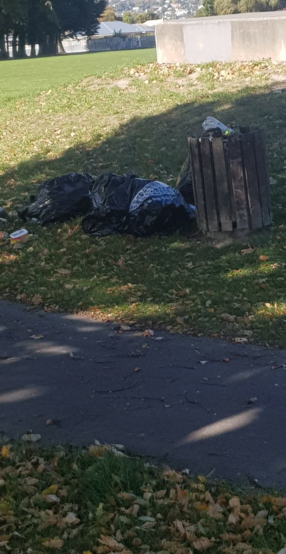 The photograph attached to this parks report