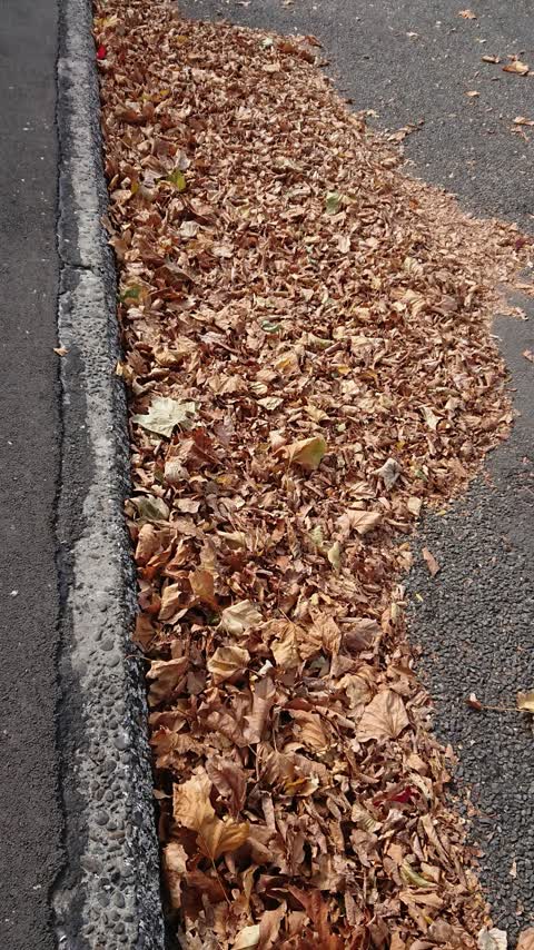 Wastewater/Stormwater, a report photo