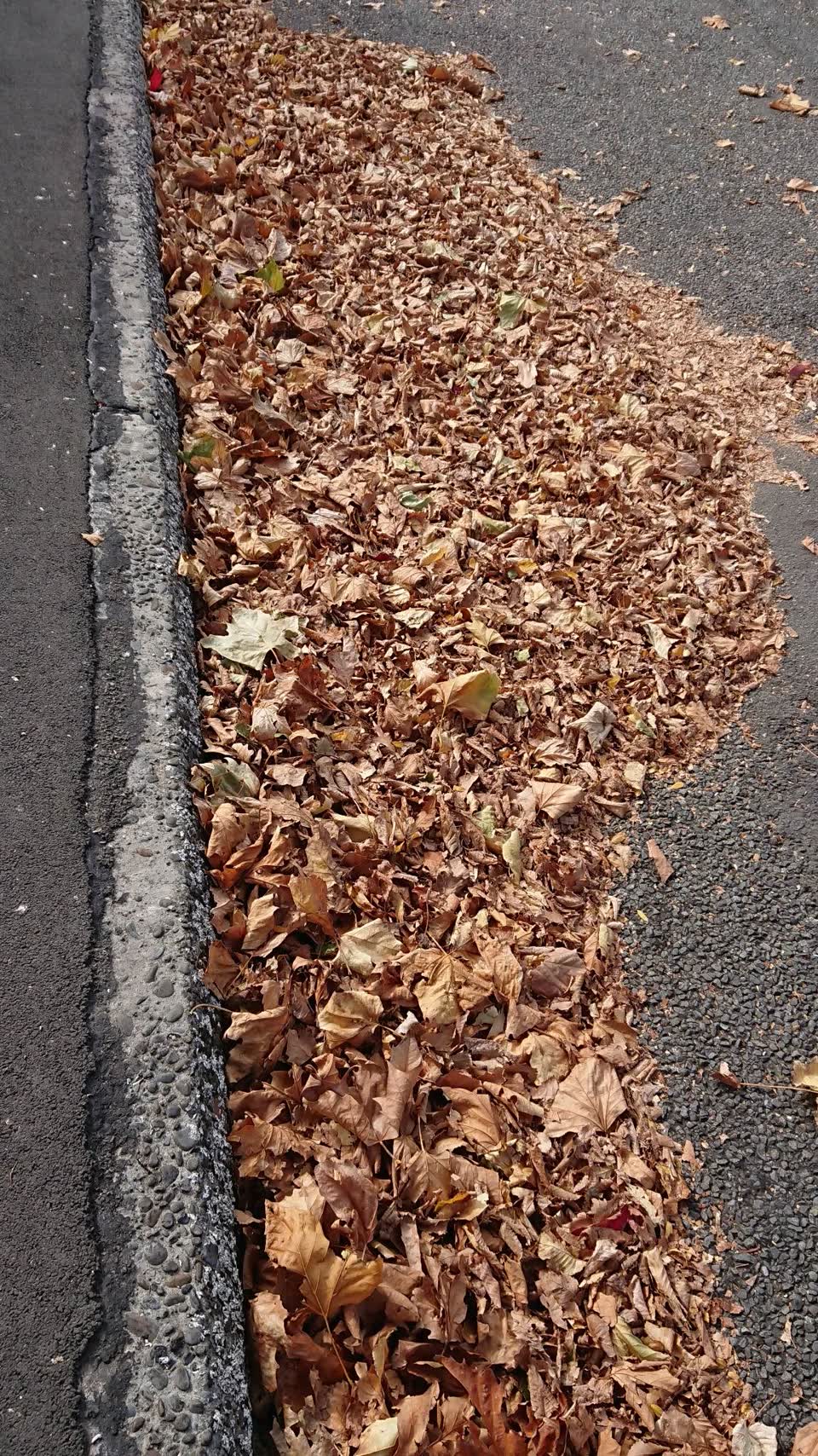 The photograph attached to this wastewater/stormwater report