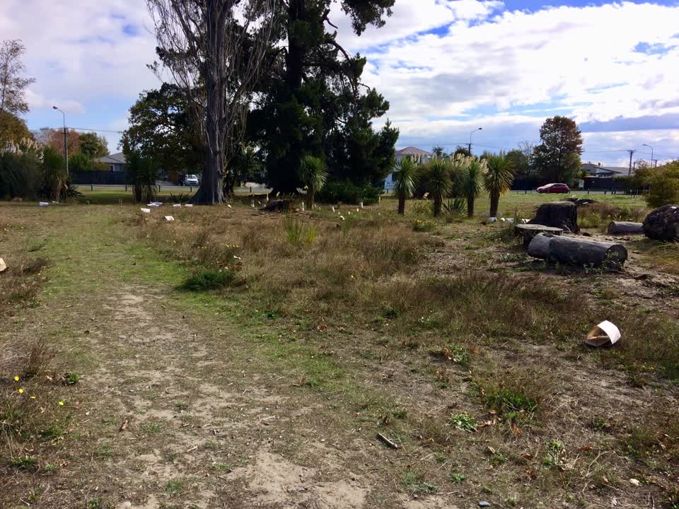 The photograph attached to this parks report