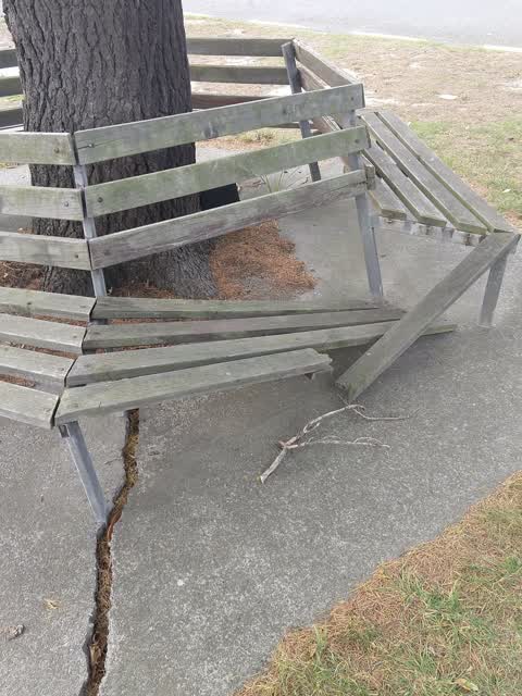 Parks — a report photo