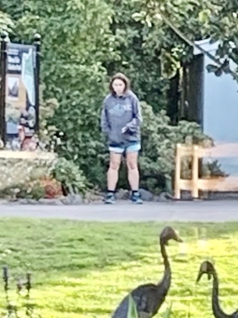 The photograph attached to this parks report