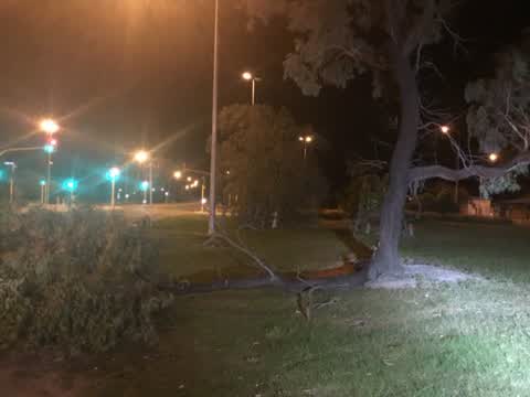 Parks, a report photo