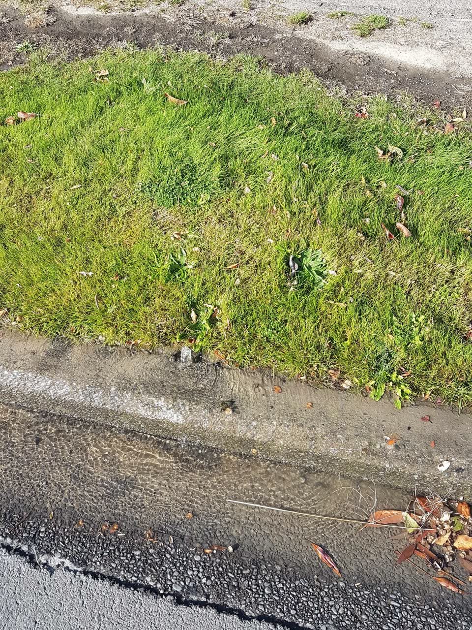 The photograph attached to this water supply report