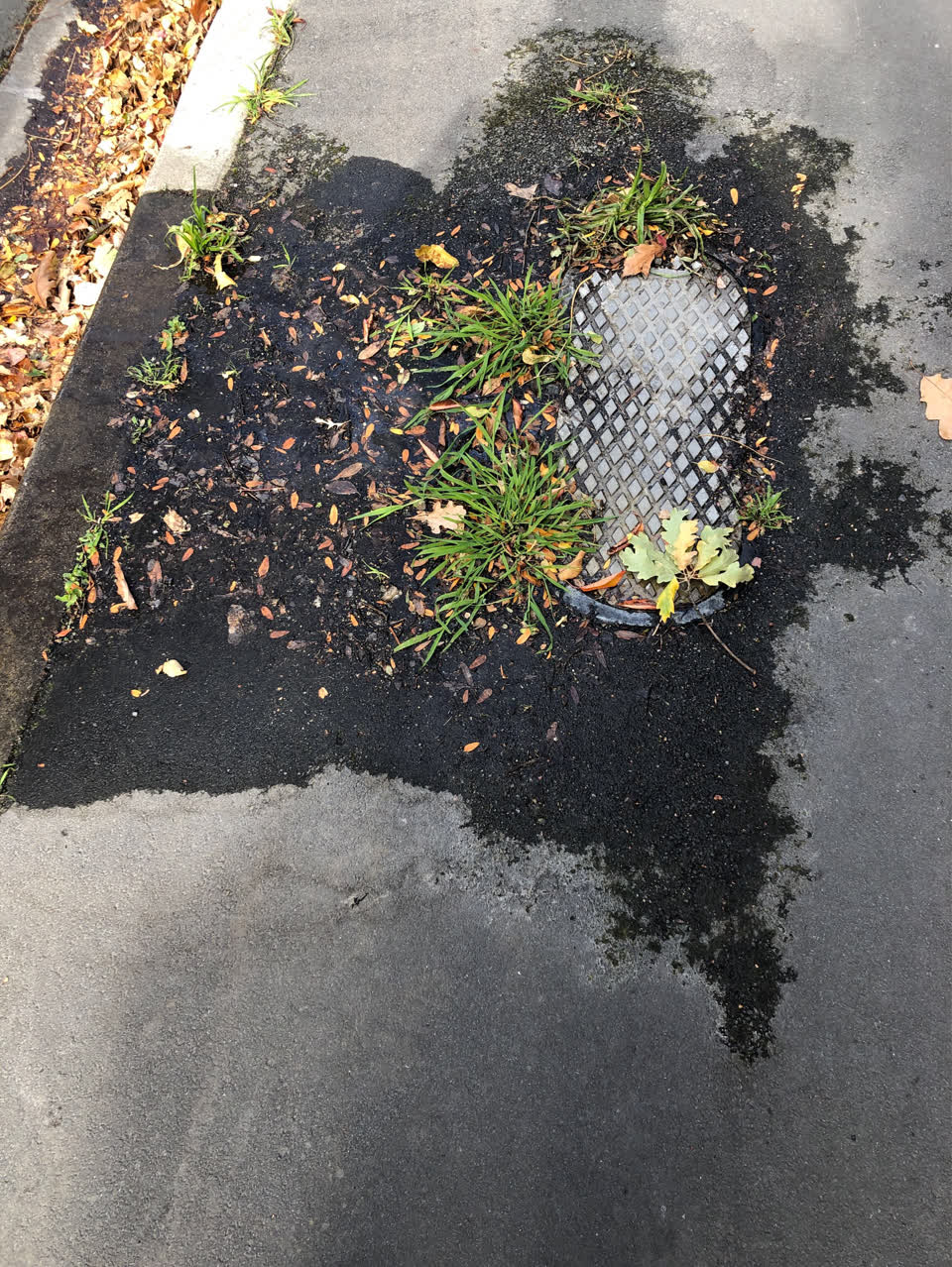 The photograph attached to this water supply report