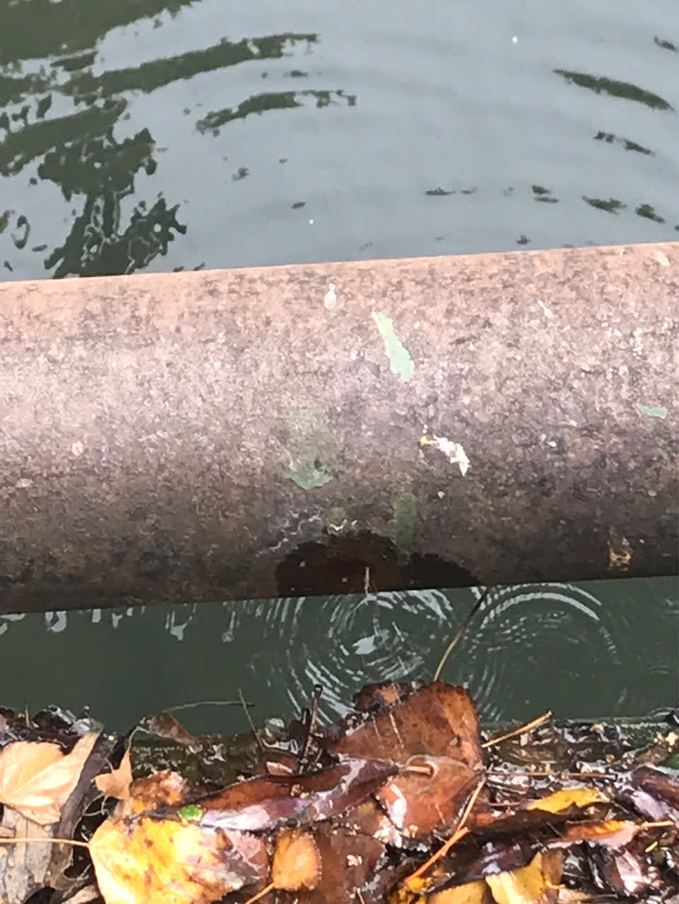 The photograph attached to this water supply report