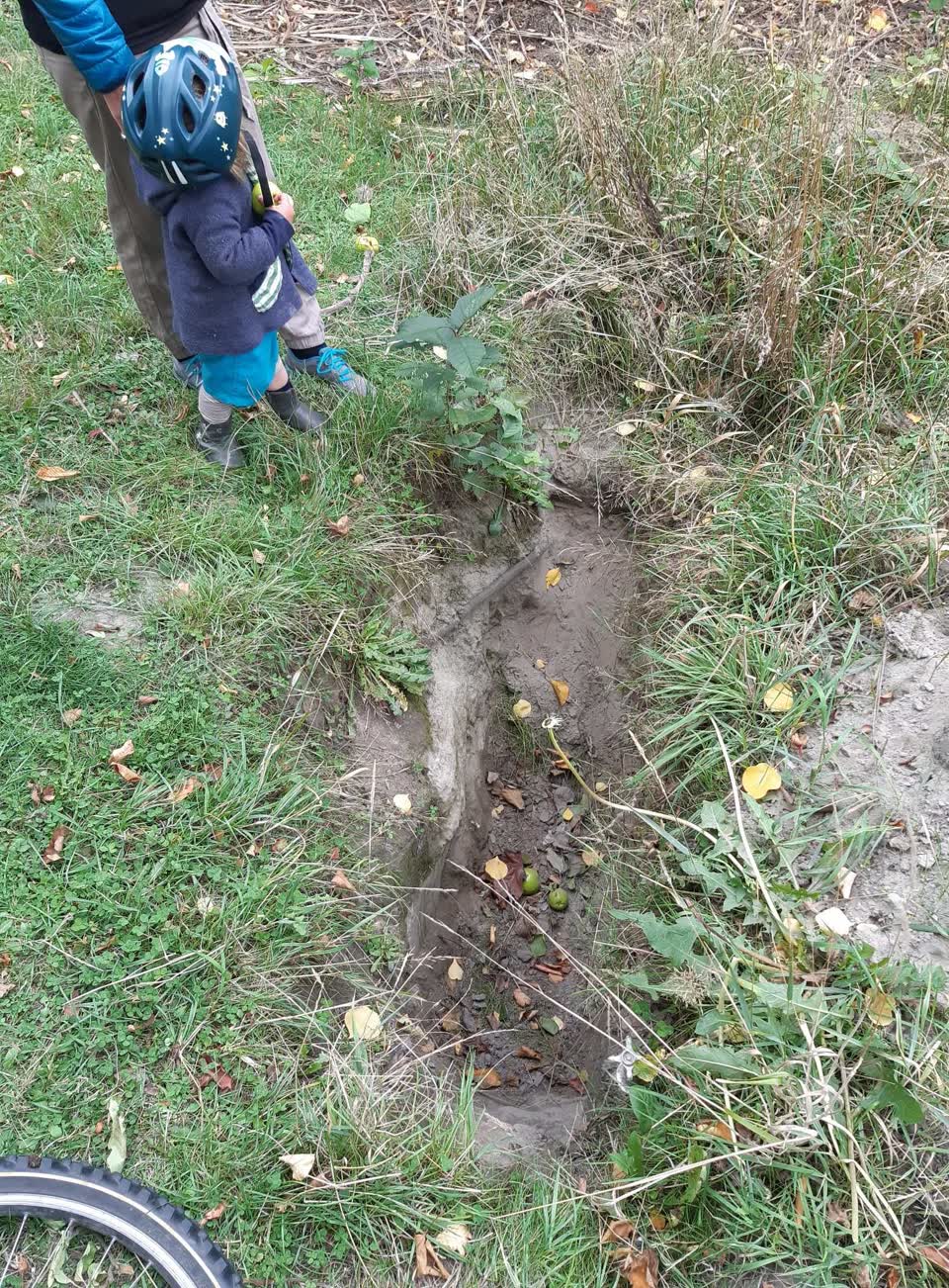 The photograph attached to this parks report