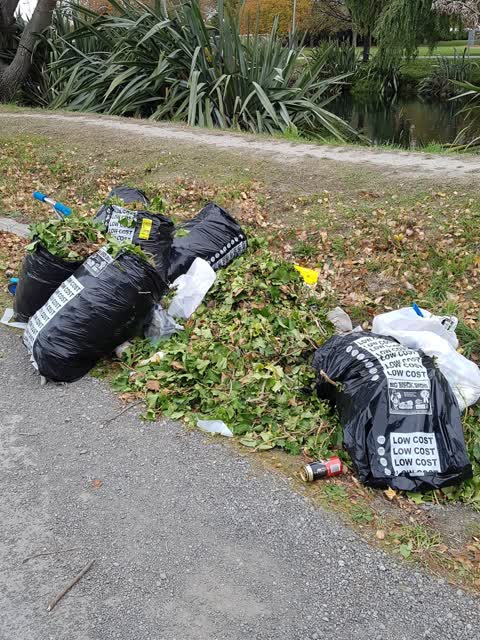 Rubbish/Recycling, a report photo