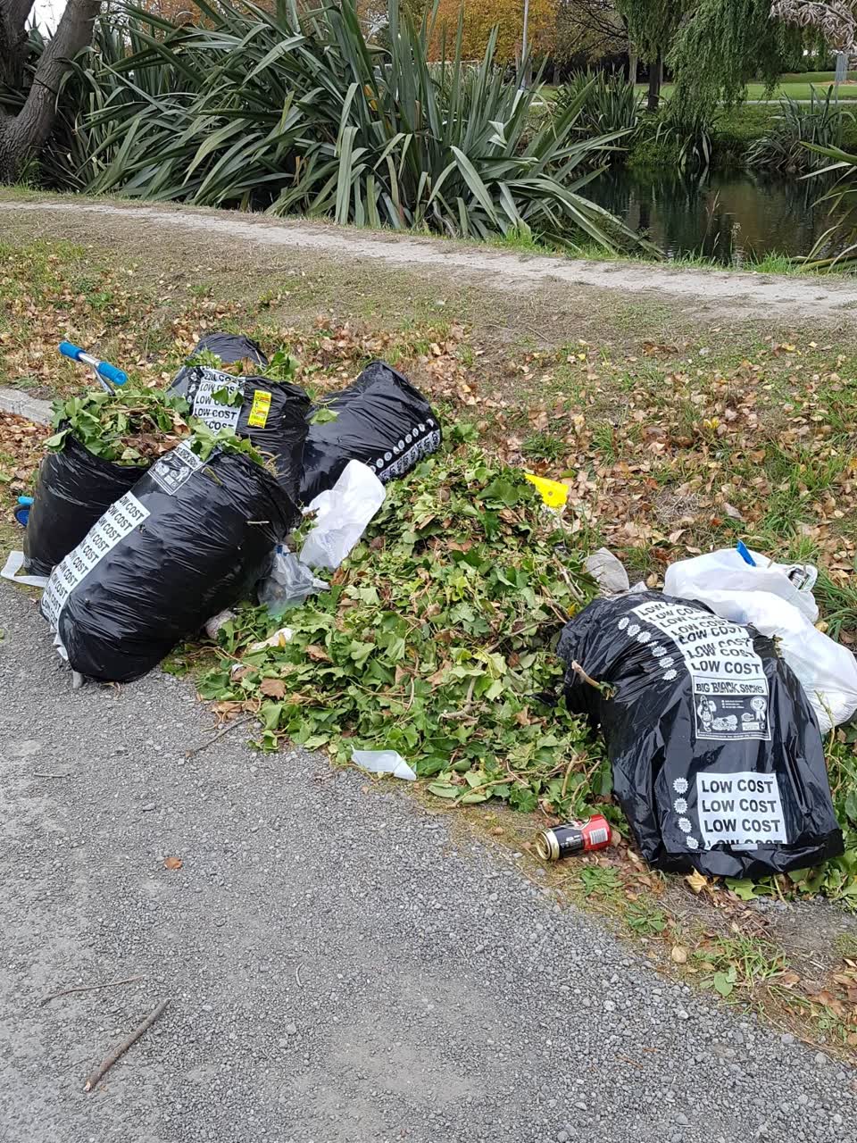 The photograph attached to this rubbish/recycling report