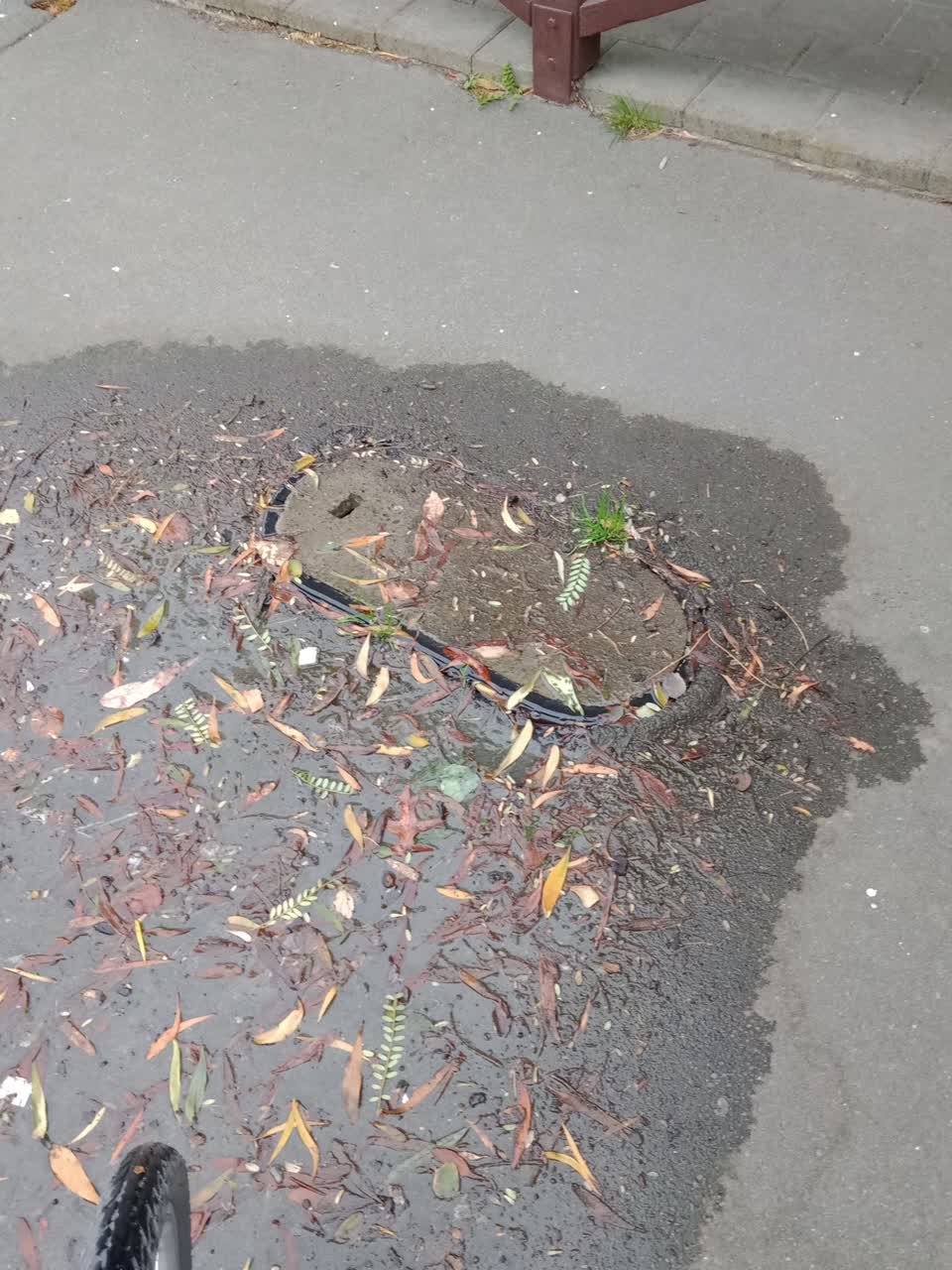 The photograph attached to this water supply report