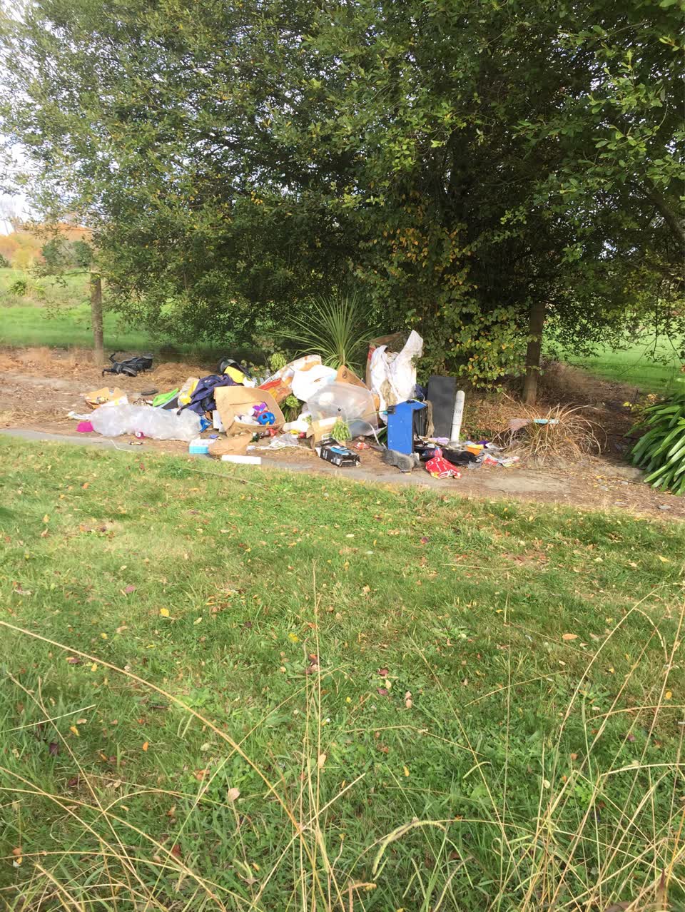 The photograph attached to this rubbish/recycling report